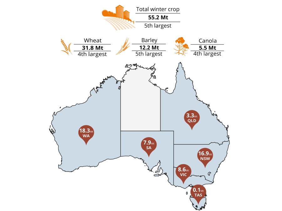 This map of Australia shows winter crop production forecasts for 2024–25. This includes Qld (3.3m tonnes), NSW (16.9m tonnes), Vic (8.6m tonnes), Tas (0.1m tonnes), SA (7.9m tonnes) and WA (18.3m tonnes). Total national winter crop production is forecast to be the 5th largest on record at 55.2m tonnes. Wheat production is forecast to be the 4th largest at 31.8m tonnes. Barley production is forecast to be the 5th largest at 12.2m tonnes. Canola production is forecast to be the 4th largest at 5.5m tonnes.