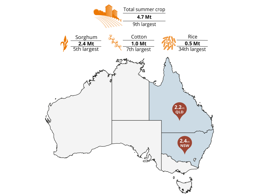 This map of Australia shows summer crop production forecasts for 2024–25 including Qld (2.2m tonnes) and NSW (2.4m tonnes). Total national summer crop production is forecast to be the ninth largest on record at 4.7m tonnes. Sorghum production is forecast to be the fifth largest at 2.4m tonnes. Cotton production is forecast to be the seventh largest at 1.0m tonnes. Rice production is forecast to be the thirty-fourth largest at 0.5m tonnes.