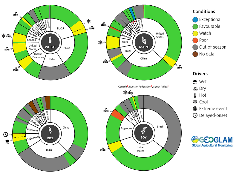 Figure showing wheat, maize, rice and soy conditions for AMIS countries during the previous month. Image provided by AMIS. Please refer to accompanying text for a more detailed description.