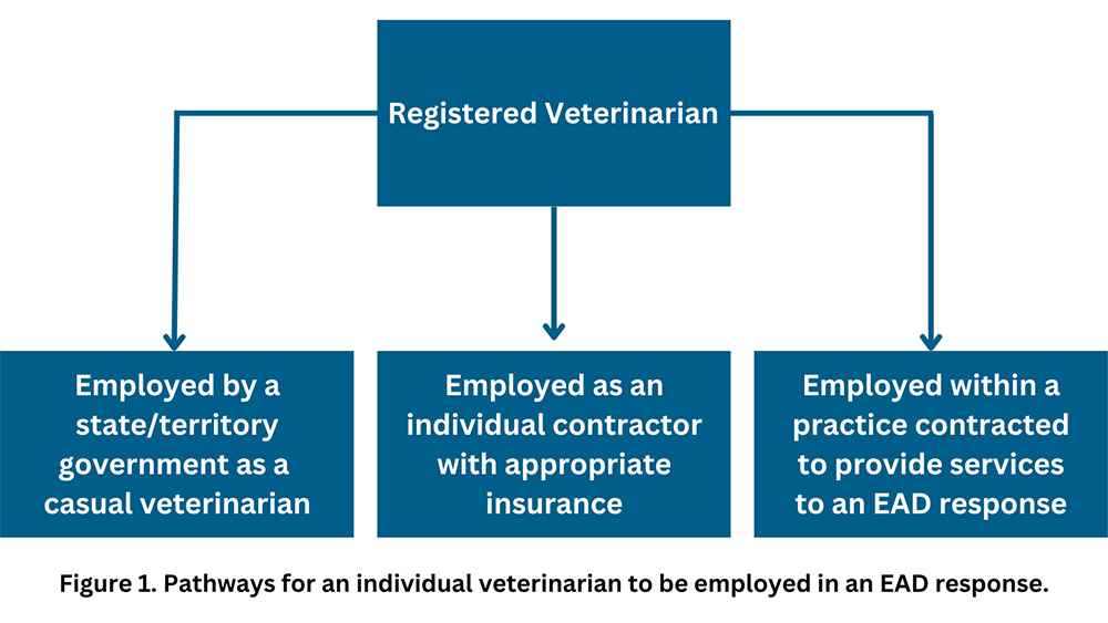 Diagram of pathways for an individual veterinarian to be employed in an EAD response