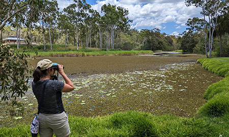 Dr Michelle Wille  looking through binoculars at a river full of plants