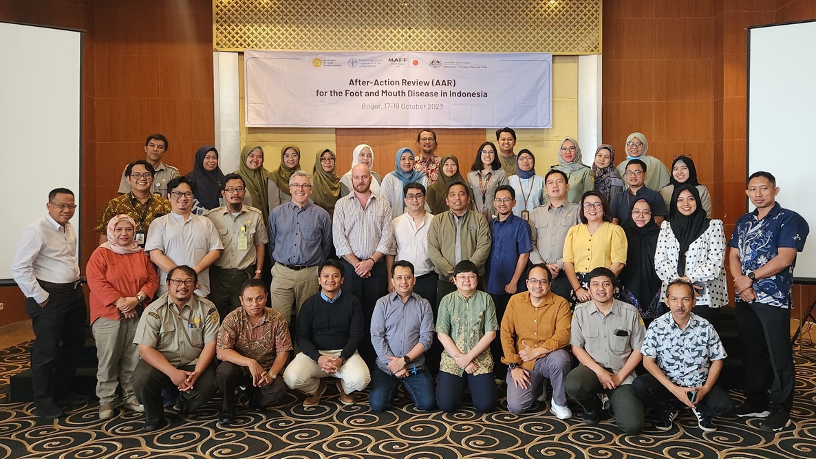 Australian veterinary expertise seconded to FAO in Indonesia - DAFF