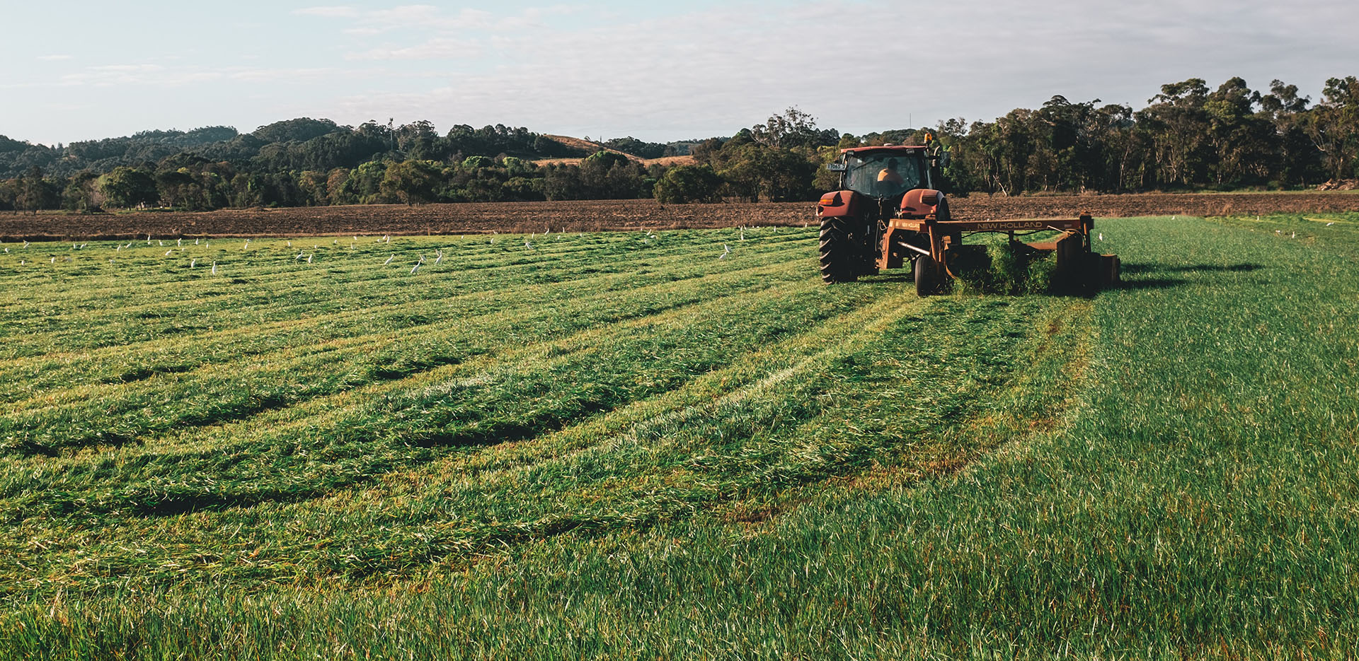 Tractor in a field