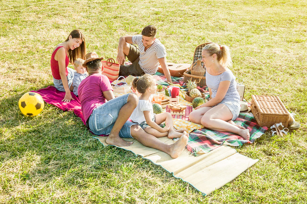 Family picnicking