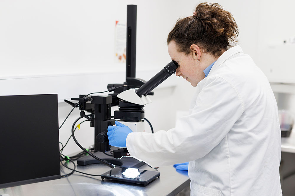 A biosecurity office looking into a microscope