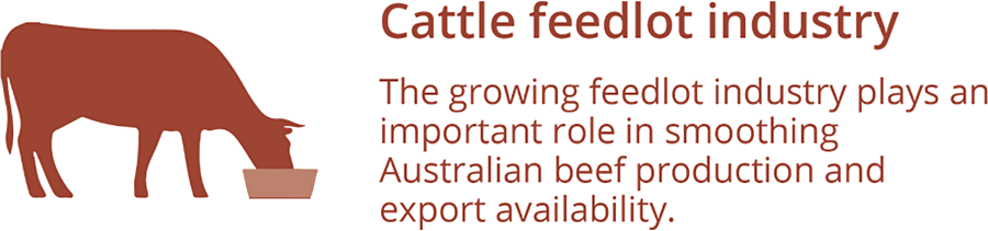 This infographic says that the growing feedlot industry plays an important role in smoothing Australian beef production and export availability.