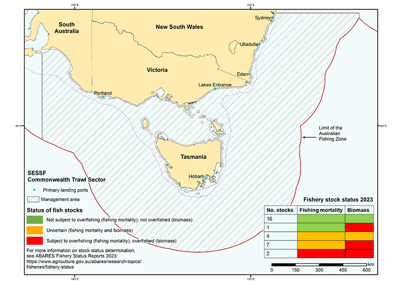 Shows map of south-eastern Australia indicating the management area of the Commonwealth Trawl Sector (CTS) of the Southern and Eastern Scalefish and Shark Fishery and the limit of the Australian Fishing Zone. The CTS extends from Sydney southward around Tasmania to Cape Jervis in South Australia. The CTS’s primary landing ports indicated on the map are Sydney, Ulladulla, Eden, Lakes Entrance, Hobart and Portland.  A table in the map indicates 2023 fishery stock status for key stocks targeted in the CTS. Of 