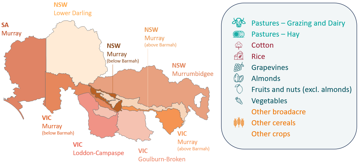 This figure provides an overview of the regions and irrigation activities included in ABARES Water Trade Model. The regions are the SA Murray, NSW Lower Darling, NSW Murray Above (the Barmah Choke), NSW Murray Below, NSW Murrumbidgee, VIC Murray Above, VIC Murray Below, VIC Goulburn-Broken and VIC Loddon-Campaspe. The irrigation activities are pastures for grazing and dairy, pastures for hay, cotton, rice, grapevines, almonds, fruits and nuts, vegetables, other broadacre, other cereals and other crops.