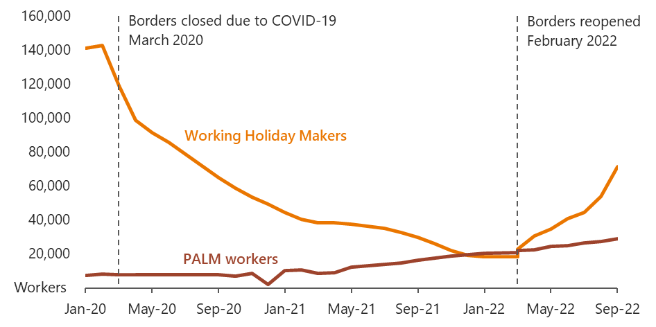 This figure shows the significant decrease in the total number of working holiday makers in Australia between March 2020, when international borders were closed due to COVID-19, and Feb 2022 when borders reopened. Over the same period, Pacific Australia Labour Mobility workers increased by a small amount in comparison to the significant decrease in working holiday makers. Since borders reopened in Feb 2022, the number of working holiday makers has increased back to around half of what it was in March 2020.