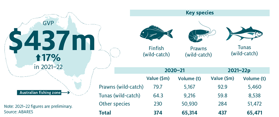 Shows that total Commonwealth fisheries production increased by 17% in 2021–22 to $437 million. The key species produced are Finfish (wild-catch), Tunas (wild-catch) and Prawns (wild-catch).