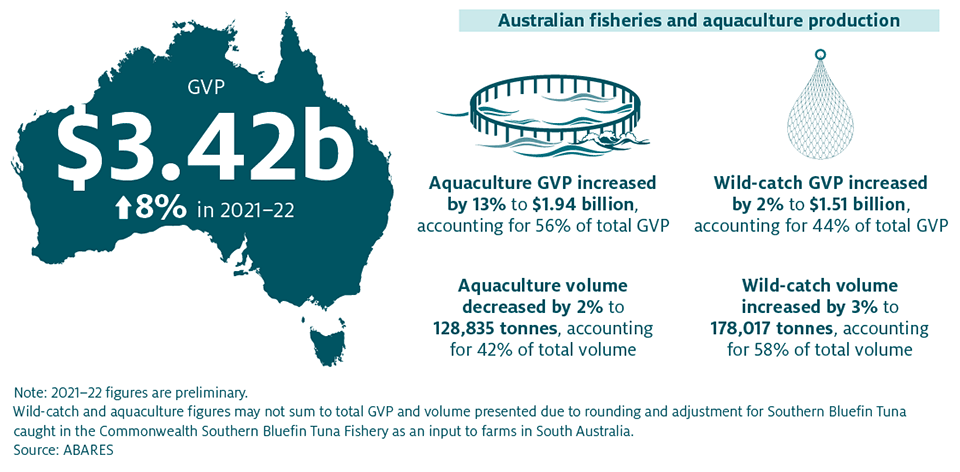 Shows preliminary 2021–22 figures that the gross value of production (GVP) decreased by 8% in 2021–22 to $3.42 billion. Aquaculture GVP increased by 13% to $1.94 billion, accounting for 56% of total GVP. Wild-catch GVP increased by 2% to $1.51 billion, accounting for 44% of total GVP. Wild-catch and aquaculture figures may not sum to total GVP and volume due to rounding and adjustment for Southern Bluefin Tuna caught in the Commonwealth Bluefin Tuna Fishery as an input to farms in South Australia.