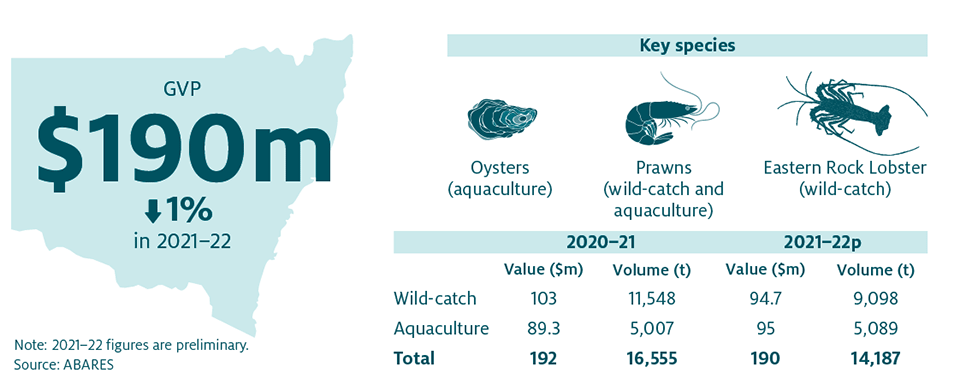 Shows that the combined value of New South Wales (NSW) fisheries and aquaculture production decreased by 1% in 2021–22 to $190 million. The key species produced in NSW are Prawns (wild-catch and aquaculture), Eastern Rock Lobster (wild-catch) and Oysters (aquaculture).