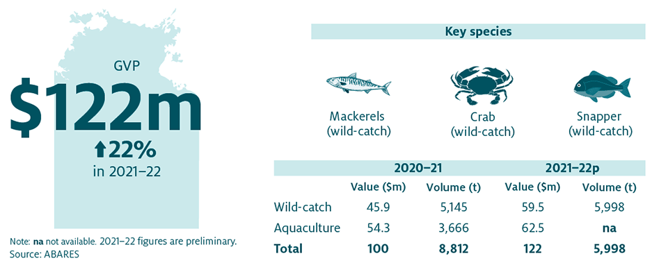 Shows that the combined value of Northern Territory’s fisheries and aquaculture production increased by 22% in 2021–22 to $122 million. The key species produced in the Northern Territory are Mackerels (wild-catch), Crab (wild-catch) and Snapper (wild-catch).