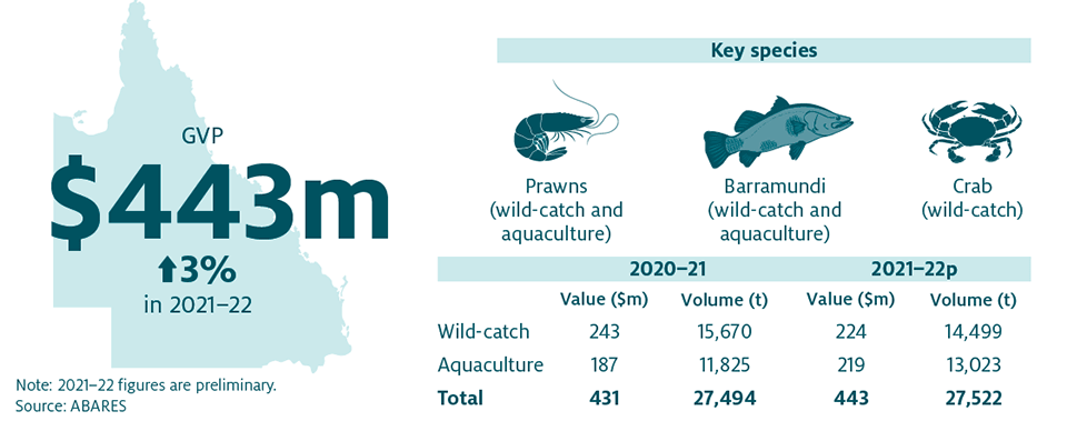 Shows that the combined value of Queensland’s fisheries and aquaculture production increased by 3% in 2021−22 to $443 million. The key species produced in Queensland are Prawns (wild-catch and aquaculture), Barramundi (wild-catch and aquaculture) and Crab (wild-catch).