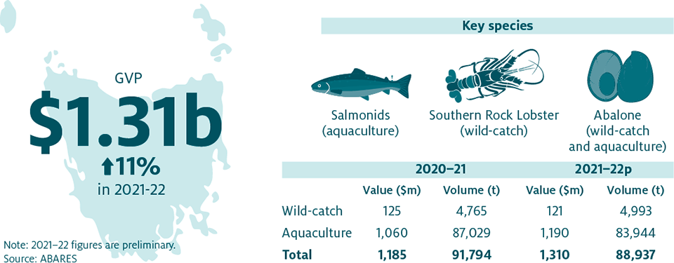 Shows that the combined value of Tasmania’s fisheries and aquaculture production increased by 11% in 2021–22 to $1.31 billion. The key species produced in Tasmania are Salmonids (aquaculture), Southern Rock Lobster (wild-catch) and Abalone (wild-catch and aquaculture).