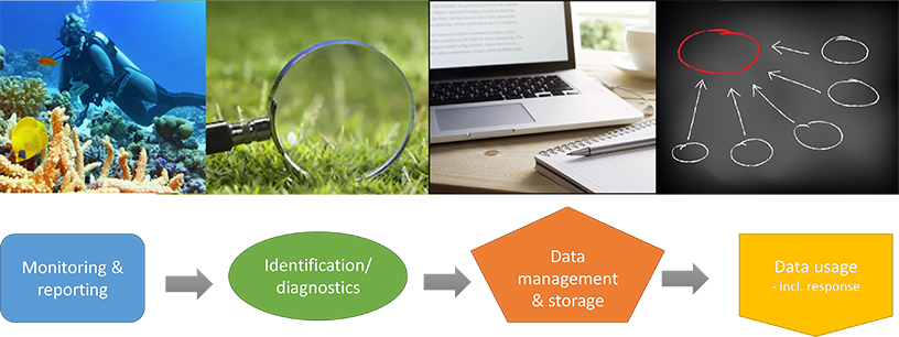 Step 1 – Monitoring and surveillance. Step 2 – Identification/diagnostics. Step 3 – Data management and storage. Step 4 – Data usage, including response.