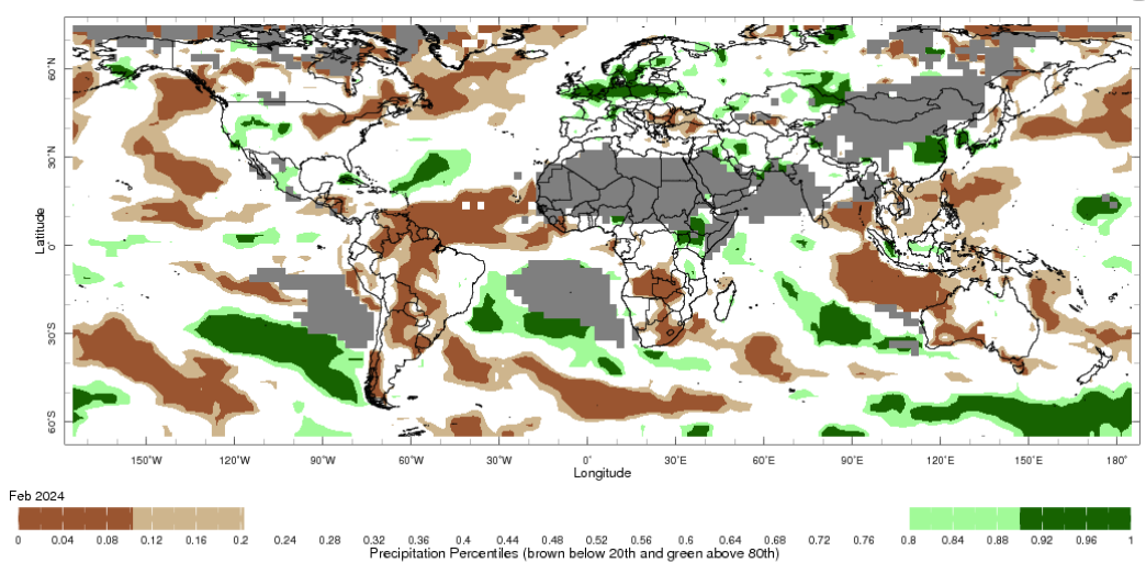 Map showing global monthly precipitation percentiles below the 20th percentile and above the 80th percentile. This map uses the climatology baseline of 1991 to 2020 for the month analysed. 