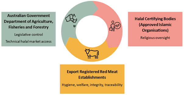 Diagram consisting of three distinct sections illustrating the collaborative partnership that makes up AGAHP between  the Department of Agriculture, Fisheries and Forestry who maintains legislative control and technical market access, The Halal Certifying Bodies who provide religious oversight and the Export Registered Red Meat Establishments who ensure hygiene, integrity, traceability and animal welfare.