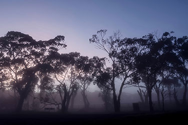 ‘Protecting plants, protecting life’ is the theme of the International Year of Plant Health.