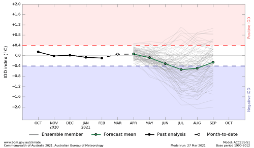 Plume graph from ACCESS-S forecasts showing the recent monthly, month-to-date and forecast mean sea surface temperature anomalies for the IOD region. This graph uses a base period of 1990-2012. Image provided by the Bureau of Meteorology. Please refer to accompanying text for a more detailed description.