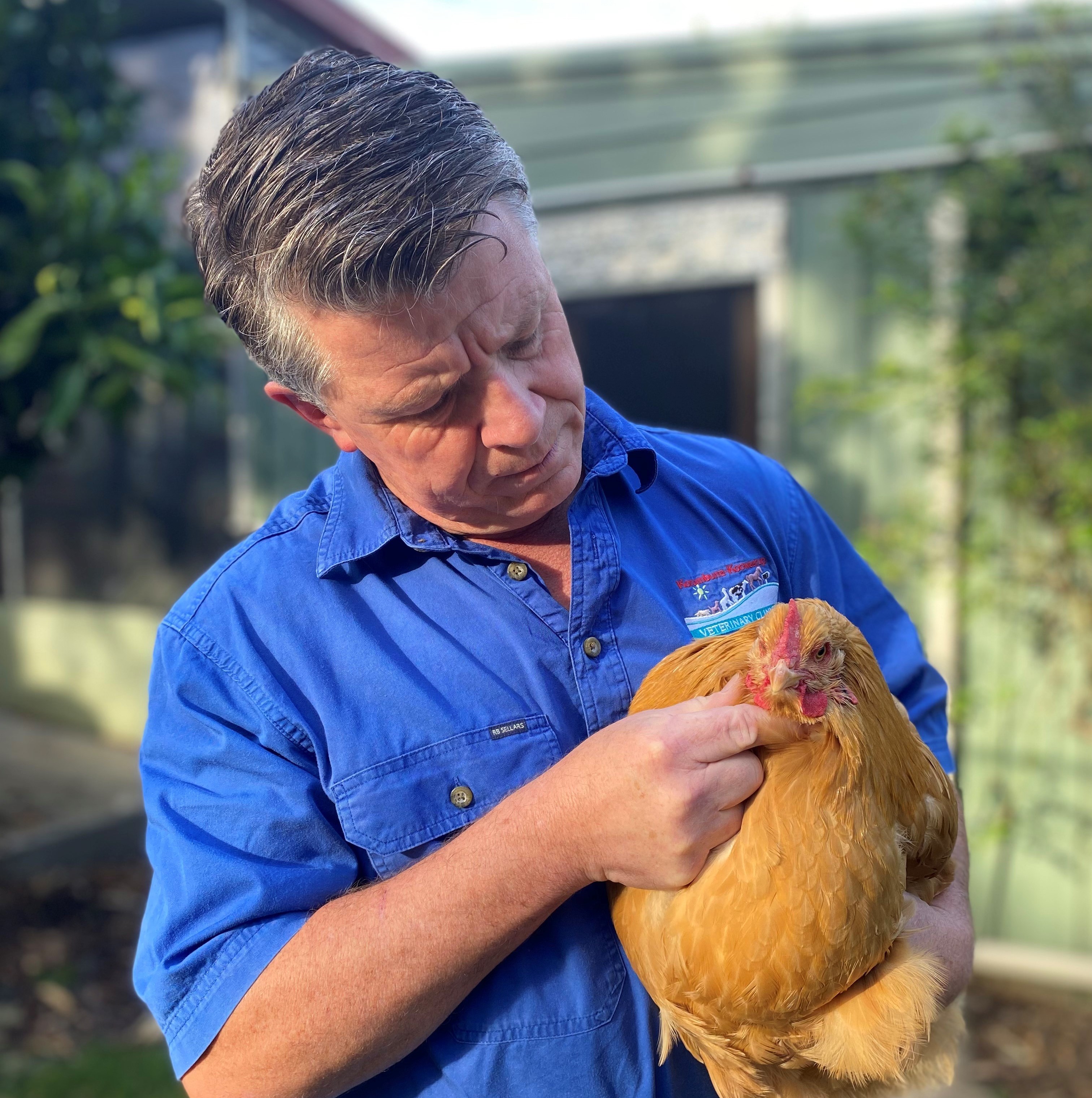 Vet Dr Jamie McNeil holding a chicken