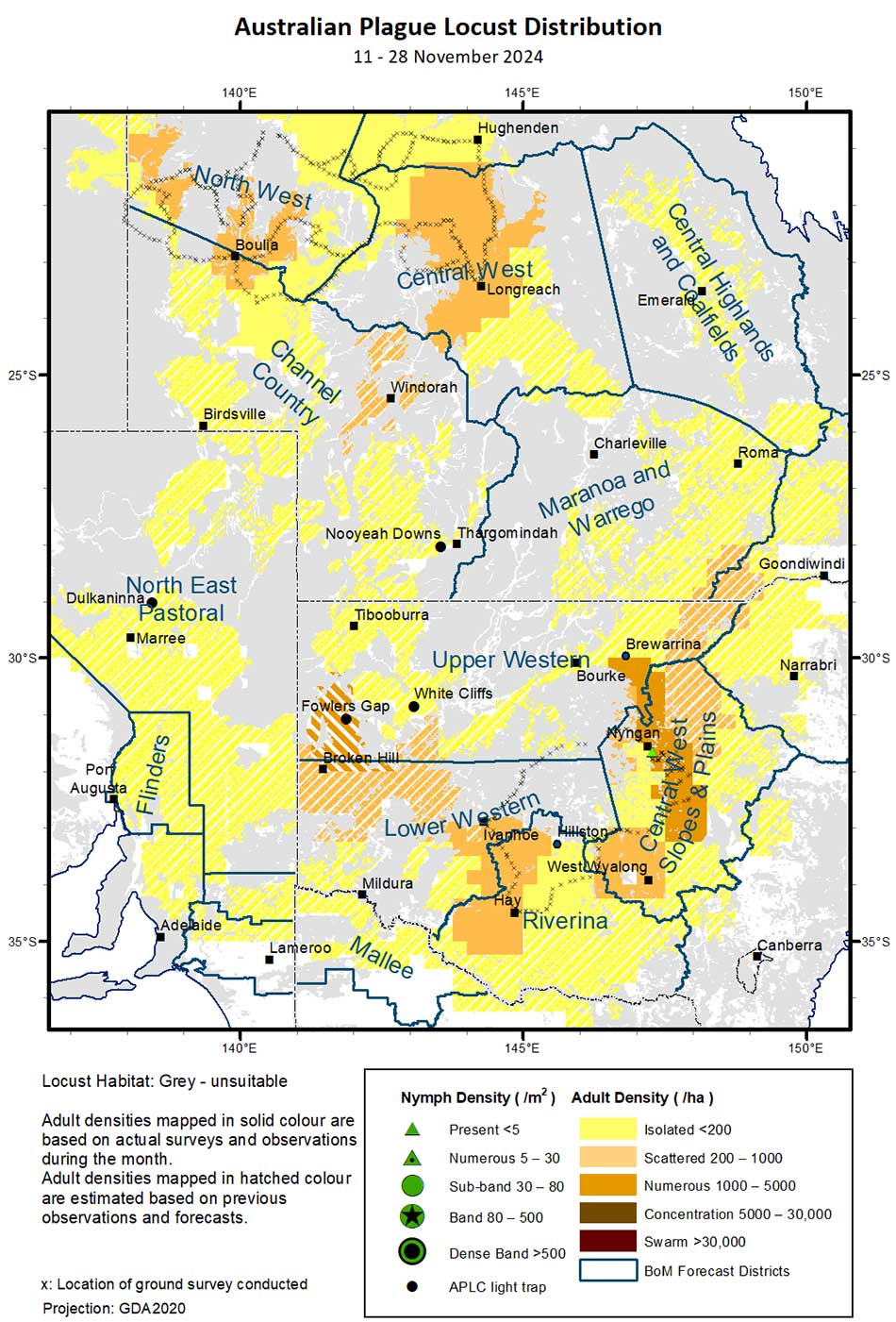 Map showing Australian Plague Locust distribution 11 - 28 November 2024