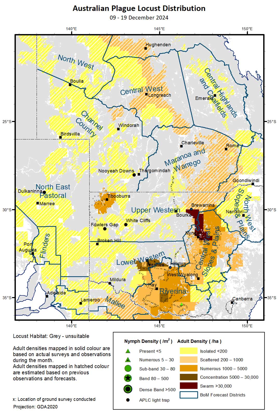 Map showing Australian Plague Locust distribution 9 - 19 December 2024.