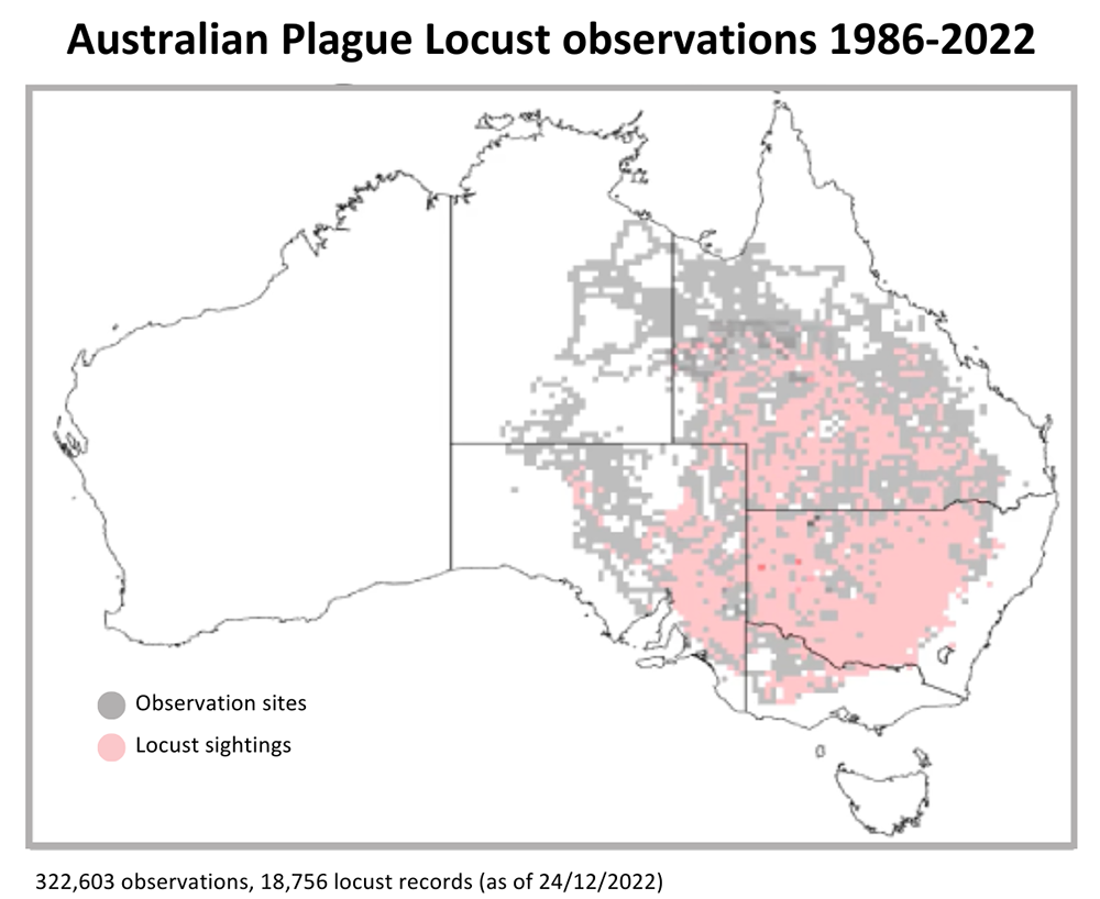 Map of Australia showing locust observations 1988 to 2022