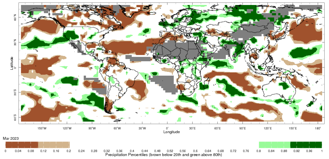 Map showing global monthly precipitation percentiles below the 20th percentile and above the 80th percentile. This map uses the climatology baseline of 1991 to 2020 for the month analysed. This map uses data from the NOAA Climate Prediction Centre CAMS_OPI. Image provided by the International Research Institute for Climate and Society.