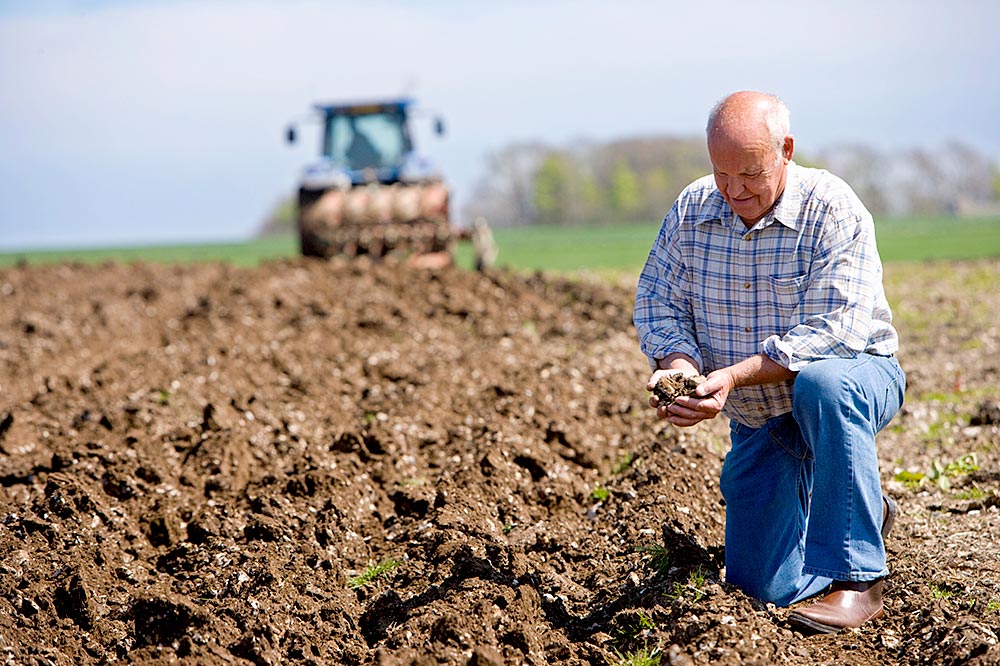 Solid Progress Through The Future Drought Fund Daff