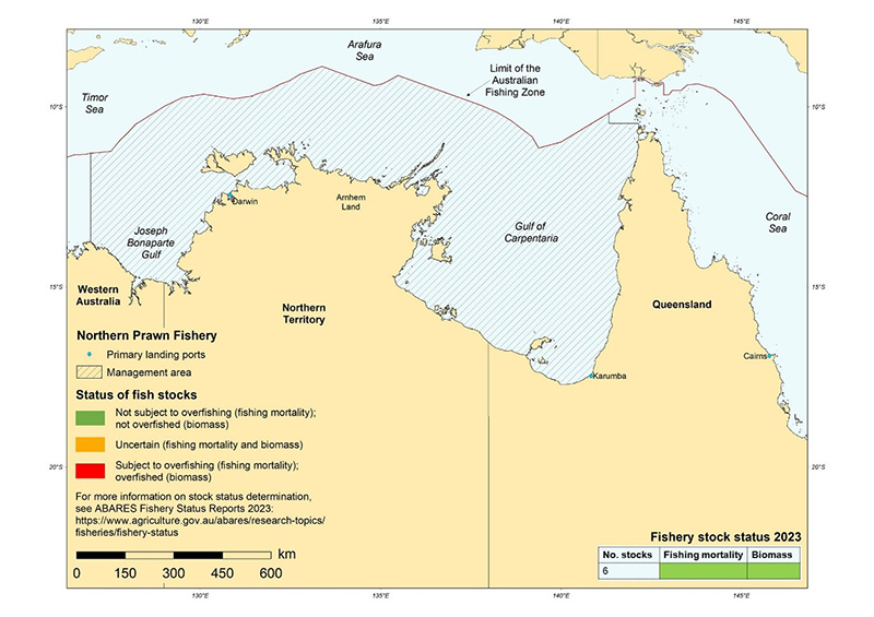 Shows map of northern Australia and surrounding islands indicating the management area of the Northern Prawn Fishery (NPF) and the limit of the Australian Fishing Zone. The NPF extends across Australia’s northern coastal areas, from Cape York in Queensland to Cape Londonderry in Western Australia and includes the Joseph Bonaparte Gulf and the Gulf of Carpentaria. The NPF’s primary landing ports indicated on the map are Darwin and Karumba. A table in the map indicates 2023 fishery stock status for key stocks