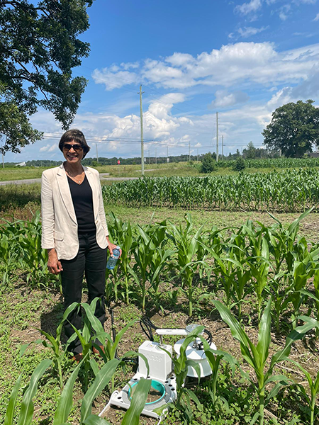 Image of a person standing in a field with lots of green crops