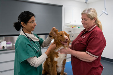 Imported cats, dogs, horses, birds and plants spend their mandatory quarantine period at the Mickleham Post Entry Quarantine Facility in Melbourne.