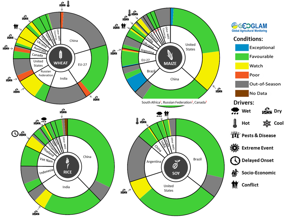 Figure showing wheat, maize, rice and soy conditions for AMIS countries during the previous month. Image provided by AMIS. Please refer to accompanying text for a more detailed description