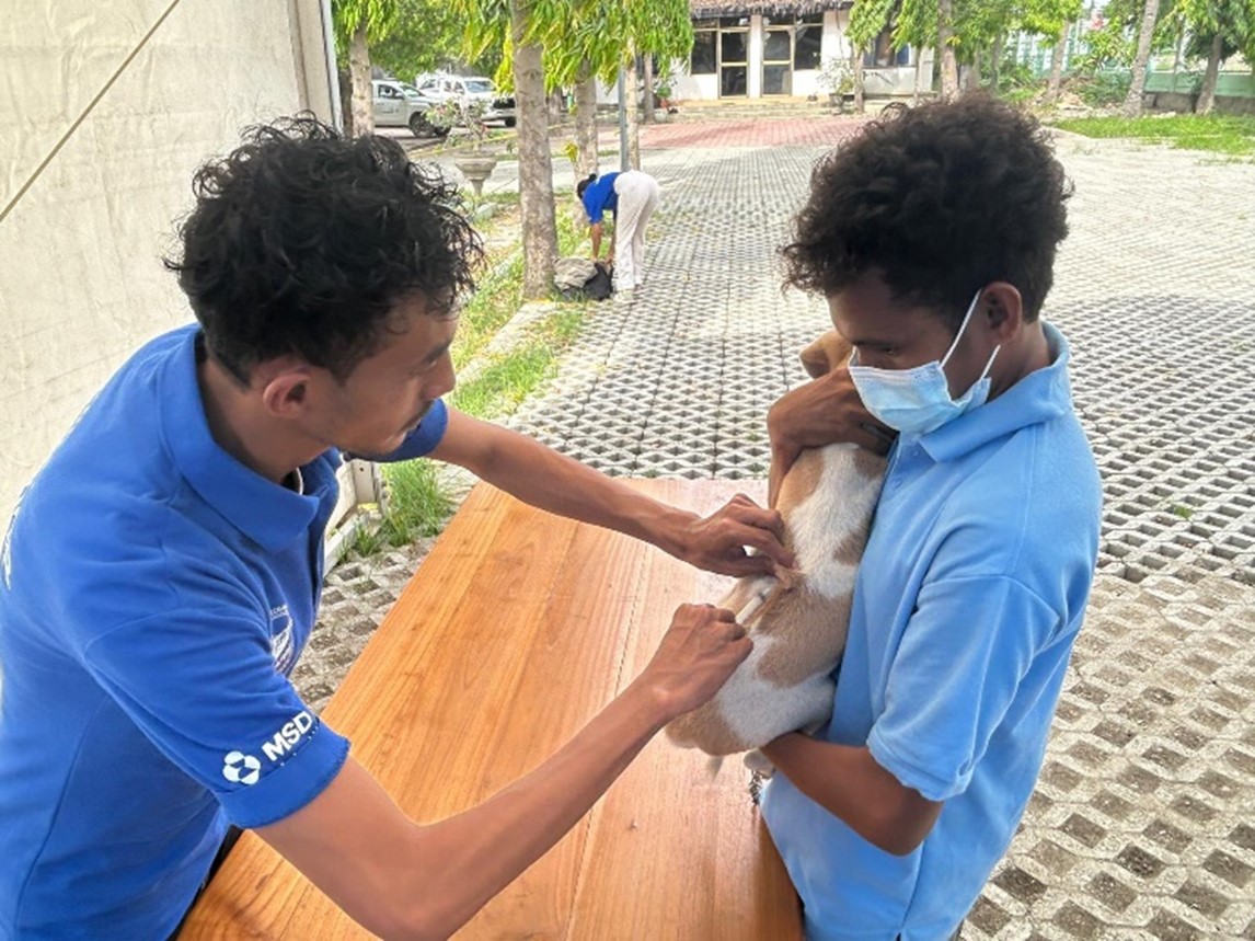 A boy with a mask on holds his puppy as it is vaccinated against rabies.