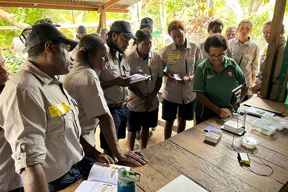 Image of a group of people standing, watching a demonstration of fruit fly identification