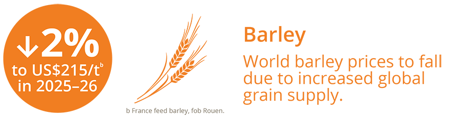 Barley infographic