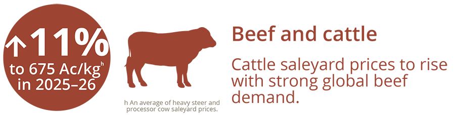 Beef and cattle infographic