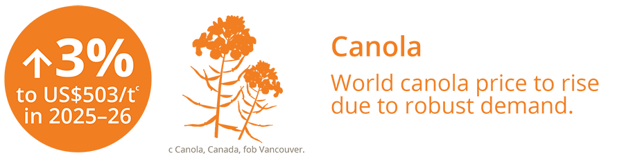 Canola infographic