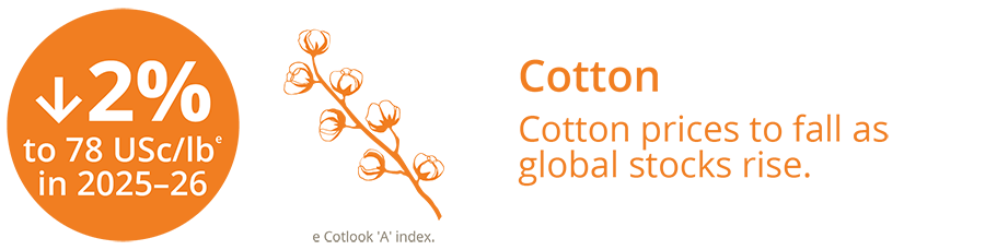 Cotton infographic