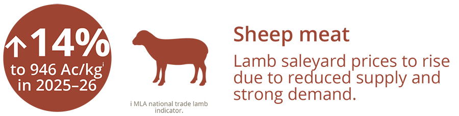 Sheep meat infographic