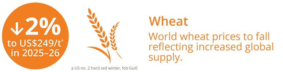 Wheat infographic