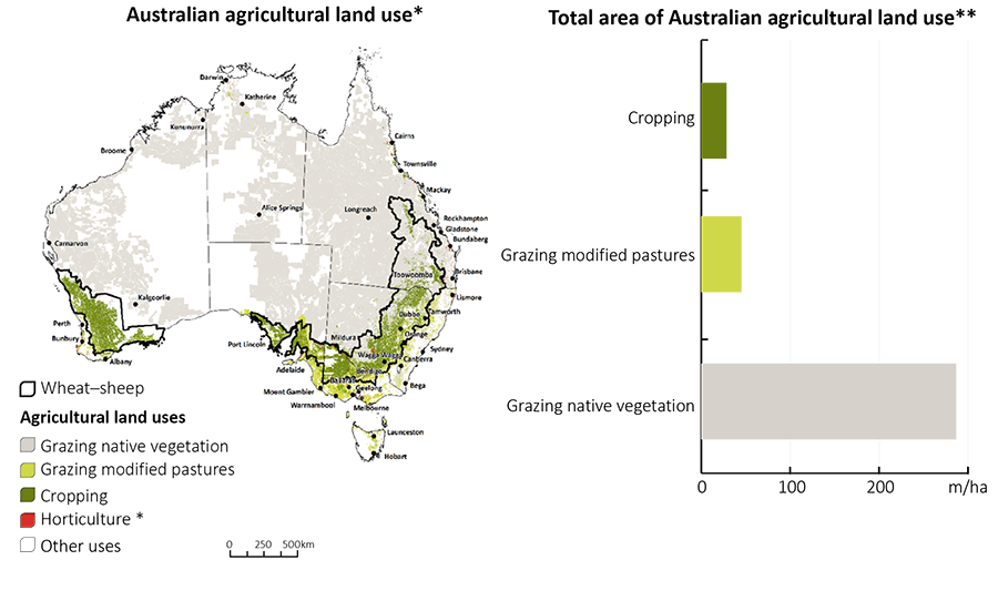 Figure 2: Shows Australia’s agricultural production zones and the size in hectares of different classifications of agricultural production. The largest is grazing and native vegetation which makes up 286.68 million hectares and is located in north and west Queensland, the Northern Territory, north-west New South Wales, and north and north-west Western Australia. The next largest is grazing and modified pastures at 45.18 million hectares. Most of this land is located on the coasts of New South Wales, Victoria, and eastern South Australia. There is also a strip of grazing modified pastures in central Tasmania. Cropping makes up approximately 28.34 million hectares, mostly located in central New South Wales, north-western Victoria, and south-western Western Australia. Horticulture is only 0.50 million hectares, and is located in small, disparate clusters close to population centres and in the Riverina region.