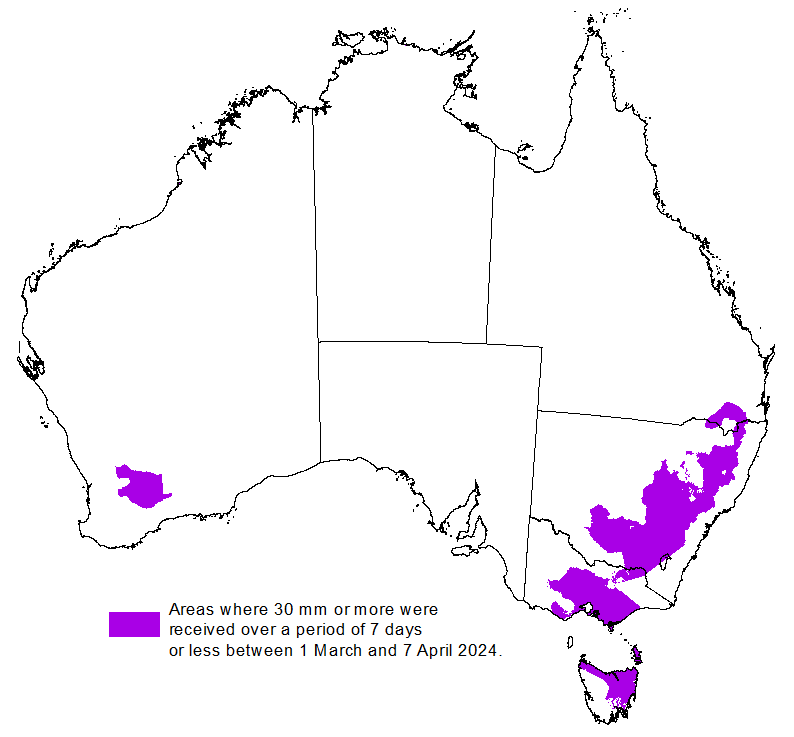 Map showing the areas where 30 millimetres or more were received over a period of 7 days or less since 1 March in Australia. Areas that achieved this in southern pasture and cropping areas that achieved this shown in dark blue. Please refer to accompanying text for a more detailed description.