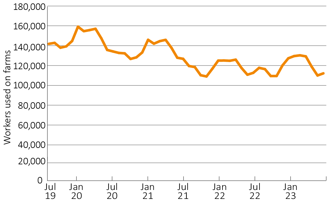 Shows a time series from July 2019 to June 2023 showing the number of workers used on horticultural farms. The pattern is generally cyclical, with more workers used in summer months than other seasons.