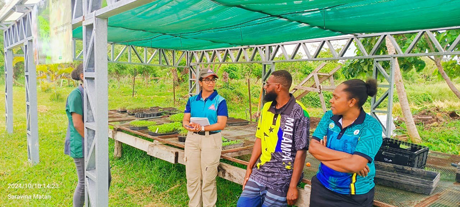 Image of four people standing under a tarp, in front of rows of plants