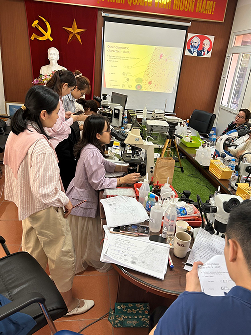 Image of a group of people looking into microscopes 