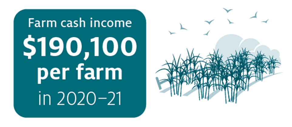 farm cash income $190,100 per farm in 2020-21