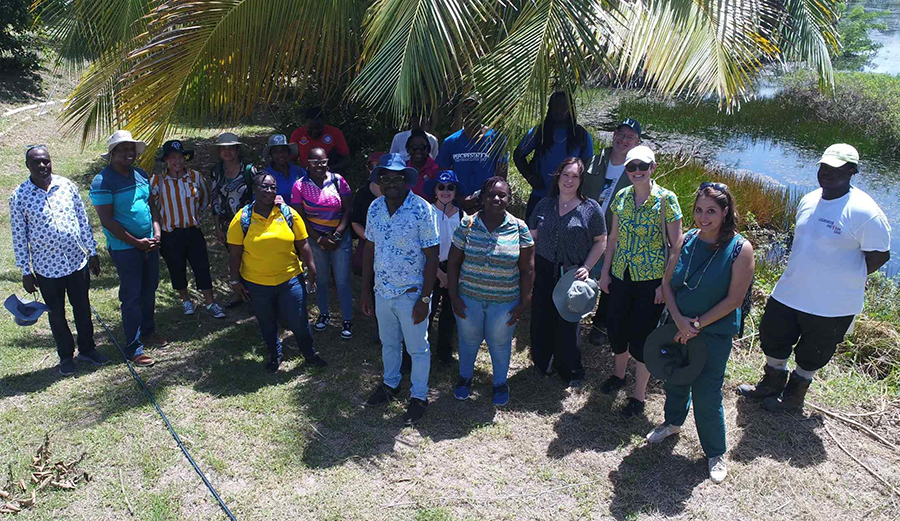 Image of a large group of people standing outside under a palm tree