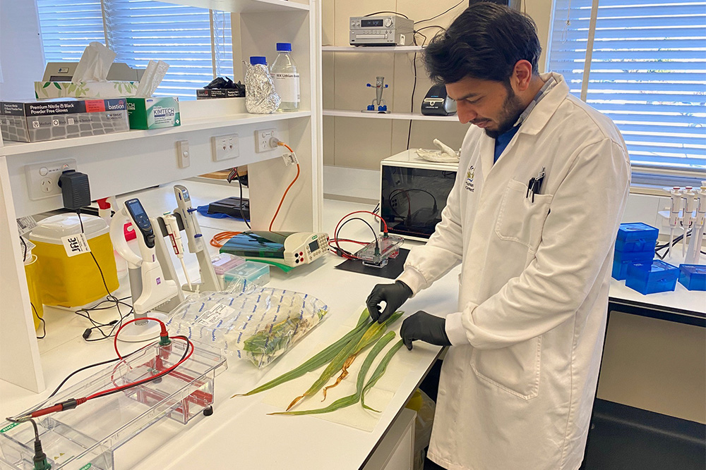 Image of a person wearing a lab coat, in a lab, doing scientific testing